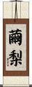 繭梨 Scroll