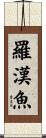 羅漢魚 Scroll