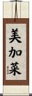 美加菜 Scroll