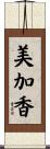 美加香 Scroll