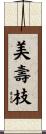 美壽枝 Scroll