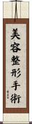 美容整形手術 Scroll