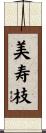 美寿枝 Scroll