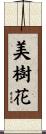美樹花 Scroll