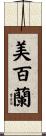 美百蘭 Scroll