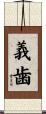 義歯 Scroll