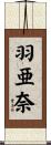 羽亜奈 Scroll