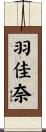 羽佳奈 Scroll