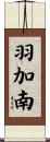 羽加南 Scroll