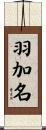 羽加名 Scroll
