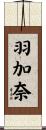 羽加奈 Scroll