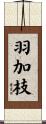 羽加枝 Scroll
