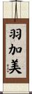 羽加美 Scroll