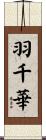 羽千華 Scroll