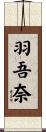 羽吾奈 Scroll