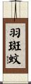 羽斑蚊 Scroll