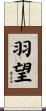 羽望 Scroll