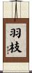 羽枝 Scroll