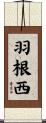 羽根西 Scroll