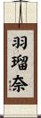 羽瑠奈 Scroll