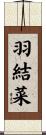 羽結菜 Scroll