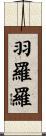 羽羅羅 Scroll
