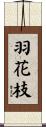 羽花枝 Scroll