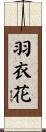 羽衣花 Scroll