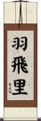 羽飛里 Scroll