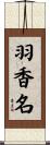 羽香名 Scroll