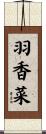 羽香菜 Scroll