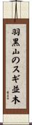 羽黒山のスギ並木 Scroll