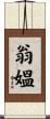 翁媼 Scroll