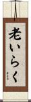 老いらく Scroll