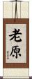 老原 Scroll