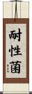 耐性菌 Scroll