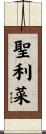 聖利菜 Scroll