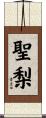 聖梨 Scroll