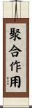 聚合作用 Scroll