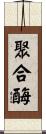 聚合酶 Scroll