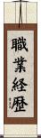 職業経歴 Scroll