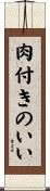 肉付きのいい Scroll