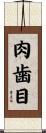肉歯目 Scroll