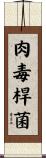 肉毒桿菌 Scroll