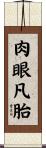 肉眼凡胎 Scroll