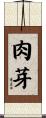 肉芽 Scroll