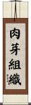 肉芽組織 Scroll