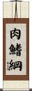 肉鰭綱 Scroll