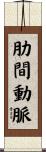 肋間動脈 Scroll