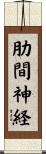 肋間神経 Scroll